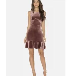 Rebecca Minkoff Tiffany Mauve Pink Velvet Mini Dress Stretch size 4 Cocktail